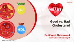 Good vs. Bad Cholesterol