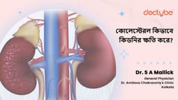 কোলেস্টেরল কিভাবে কিডনির ক্ষতি করে?