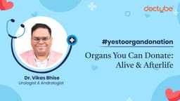 Organs You Can Donate: Alive & Afterlife