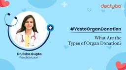 What Are the Types of Organ Donation?