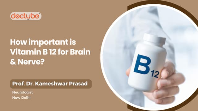 How important is Vitamin B 12 for Brain &amp; Nerve