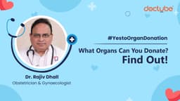 What Organs Can You Donate? Find Out
