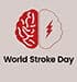 World Stroke Day